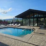 Chalet Whitewood Bukovel
