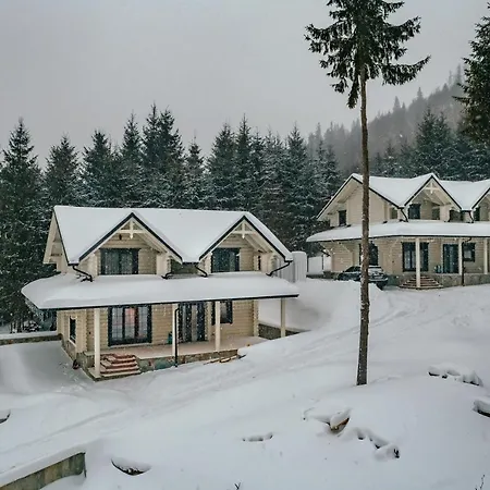 Alpesi faház Whitewood Bukovel